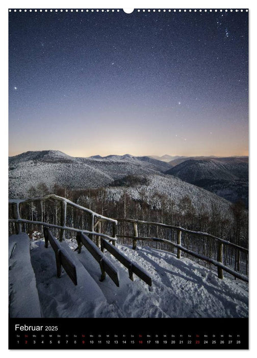 NATURWUNDER PFÄLZERWALD (CALVENDO Premium Wandkalender 2025)