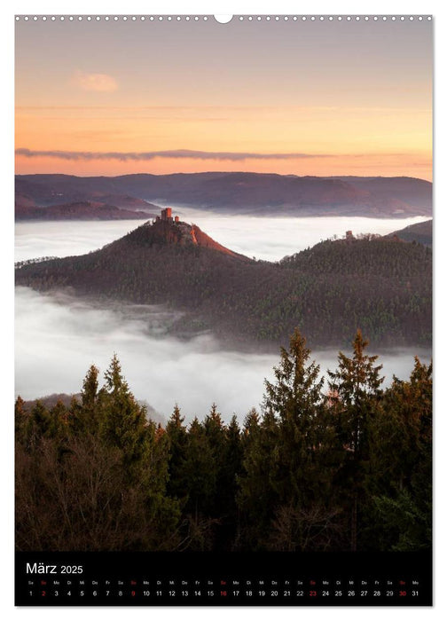 NATURWUNDER PFÄLZERWALD (CALVENDO Premium Wandkalender 2025)