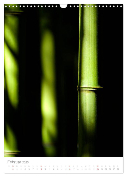 Der Bambus (CALVENDO Wandkalender 2025)