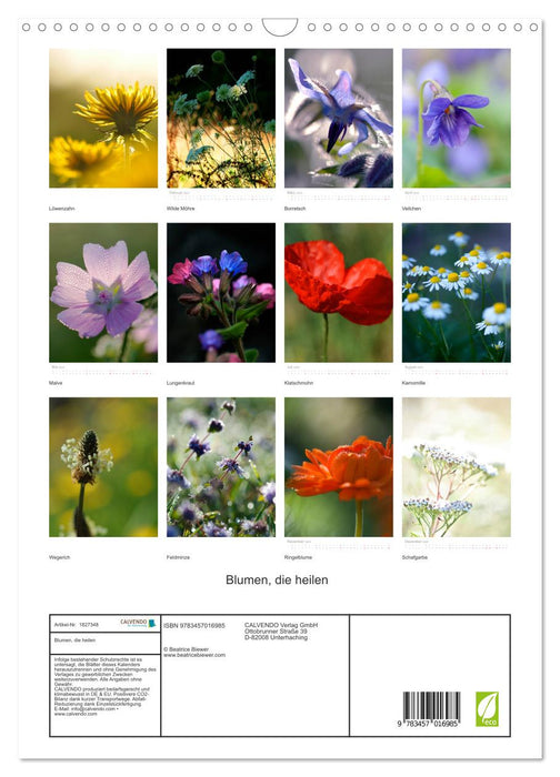 Blumen, die heilen (CALVENDO Wandkalender 2025)