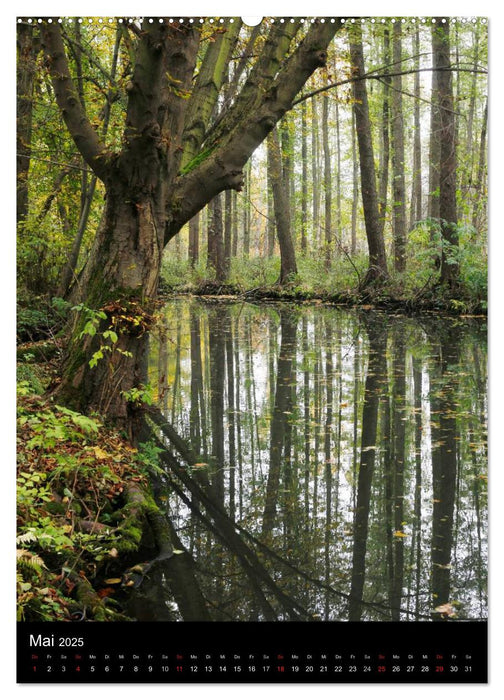 Wunderbarer Spreewald (CALVENDO Wandkalender 2025)