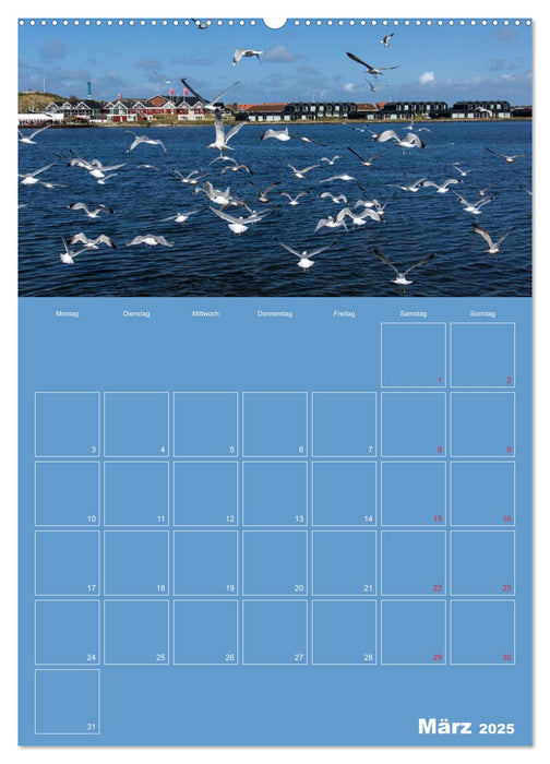 Sanddünen und Meer in Dänemark (CALVENDO Premium Wandkalender 2025)