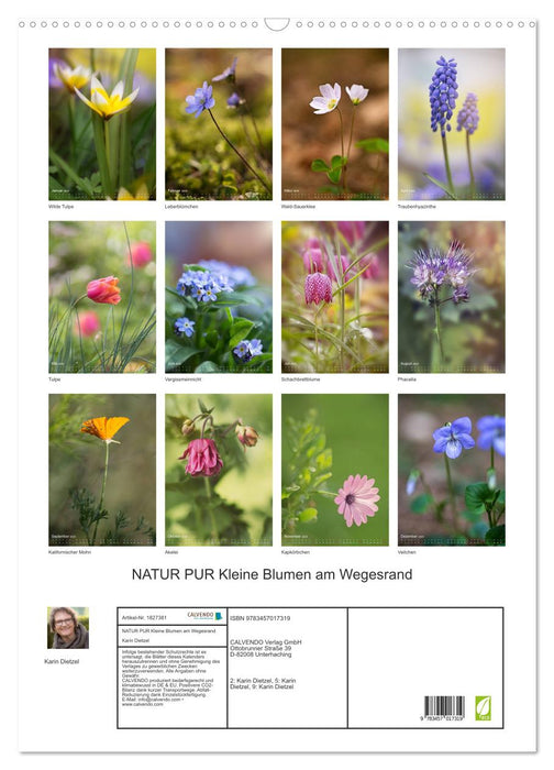NATUR PUR Kleine Blumen am Wegesrand (CALVENDO Wandkalender 2025)