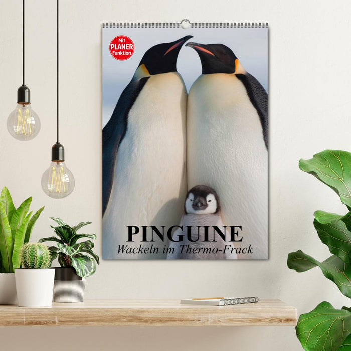 Pinguine. Wackeln im Thermo-Frack (CALVENDO Wandkalender 2025)