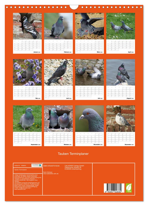 Tauben Terminplaner (CALVENDO Wandkalender 2025)