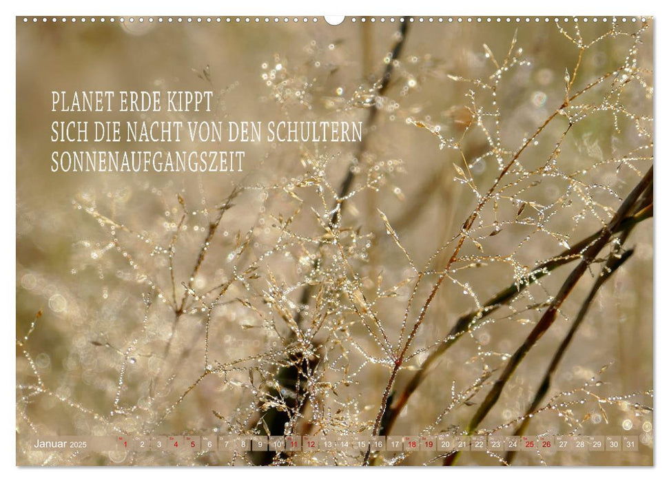 Haiku Poesie in Wort und Bild (CALVENDO Wandkalender 2025)