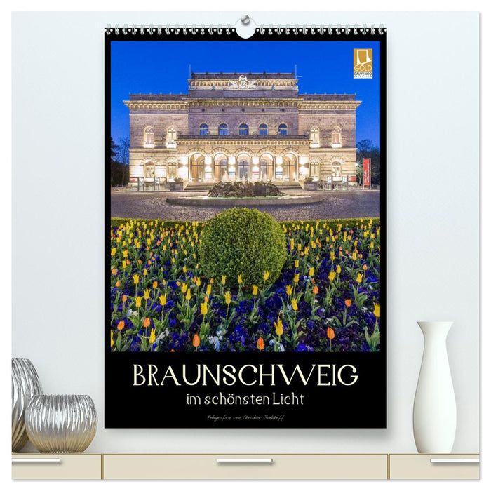 Braunschweig im schönsten Licht (CALVENDO Premium Wandkalender 2025)