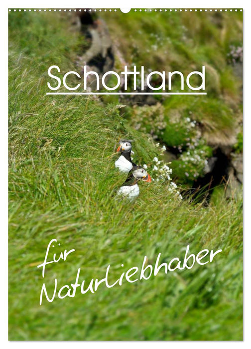 Schottland für Naturliebhaber (CALVENDO Wandkalender 2025)