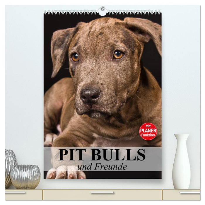 Pit Bulls und Freunde (CALVENDO Premium Wandkalender 2025)