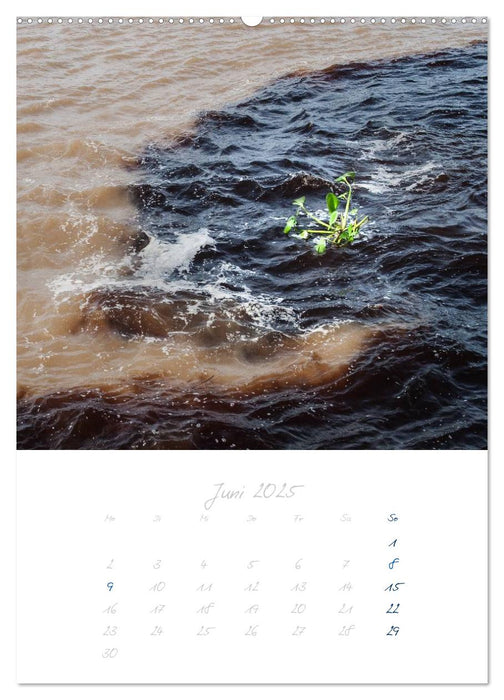 Wasser - Quell des Lebens (CALVENDO Premium Wandkalender 2025)