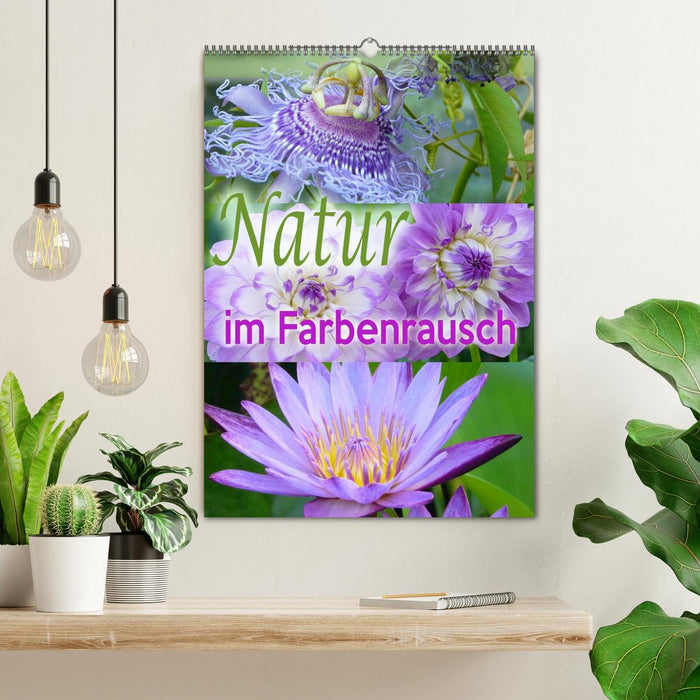 Natur im Farbenrausch (CALVENDO Wandkalender 2025)