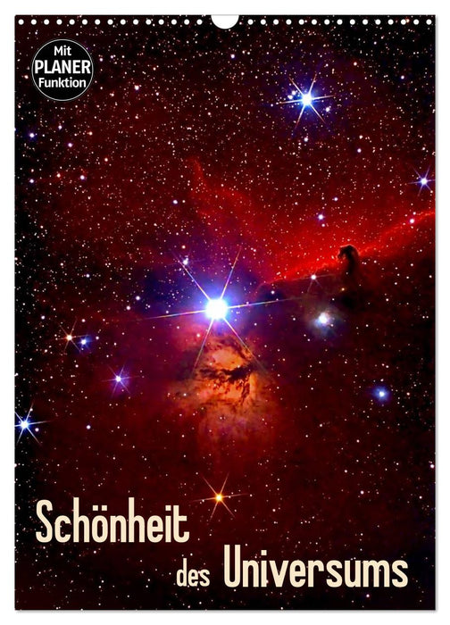 Schönheit des Universums (CALVENDO Wandkalender 2025)