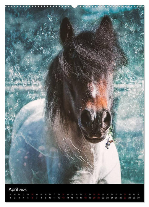 Mystische Pferde (CALVENDO Premium Wandkalender 2025)