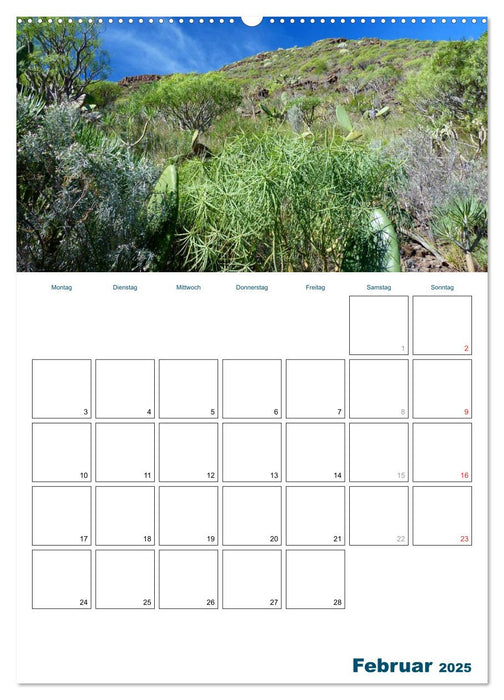 Urlaub auf den Kanaren - Teneriffa (CALVENDO Premium Wandkalender 2025)