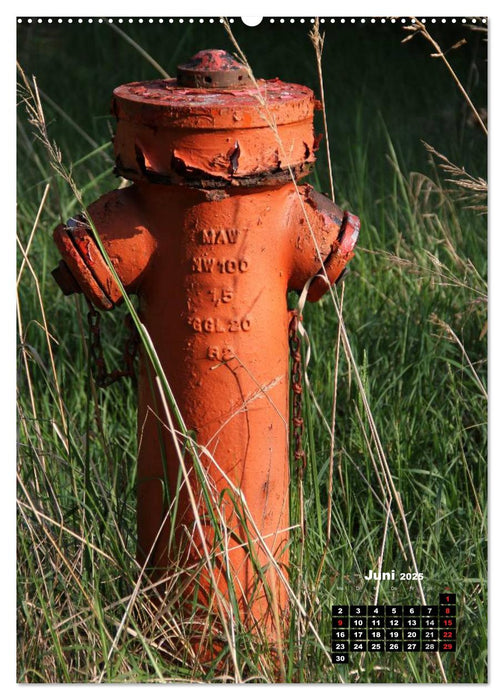 Nostalgie Hydranten (CALVENDO Premium Wandkalender 2025)