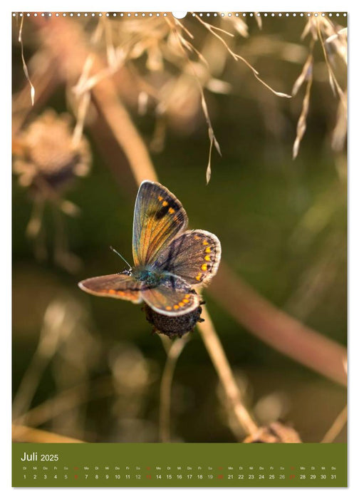 Natur-Romantik (CALVENDO Premium Wandkalender 2025)