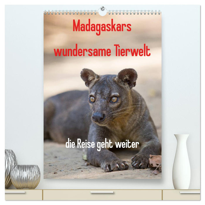 Madagaskars wundersame Tierwelt - die Reise geht weiter (CALVENDO Premium Wandkalender 2025)