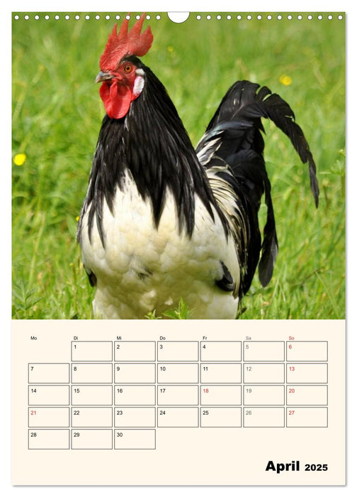 Portraits unserer Haustiere (CALVENDO Wandkalender 2025)