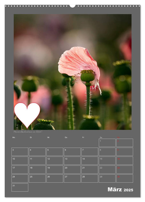 Liebeserklärung - Schreibe deine Gedanken in mein Herz (CALVENDO Premium Wandkalender 2025)