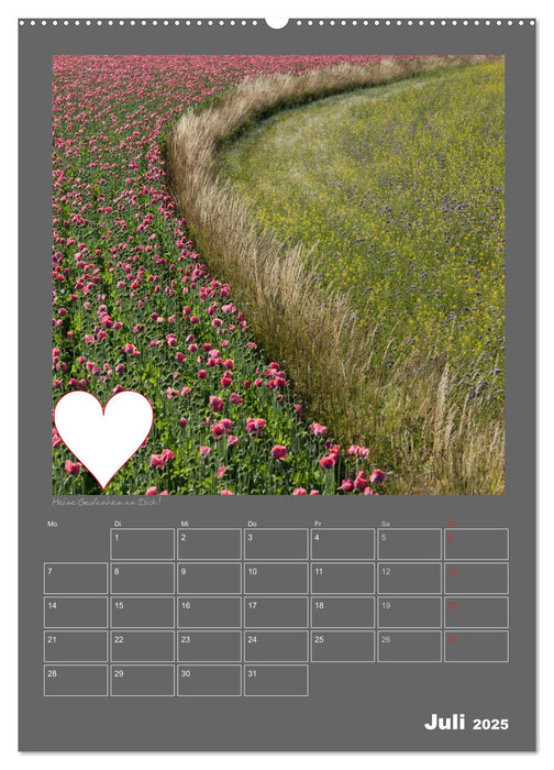 Liebeserklärung - Schreibe deine Gedanken in mein Herz (CALVENDO Premium Wandkalender 2025)
