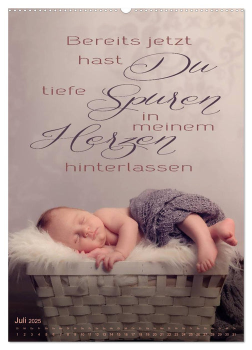 Babys - Die Liebe des Lebens (CALVENDO Premium Wandkalender 2025)