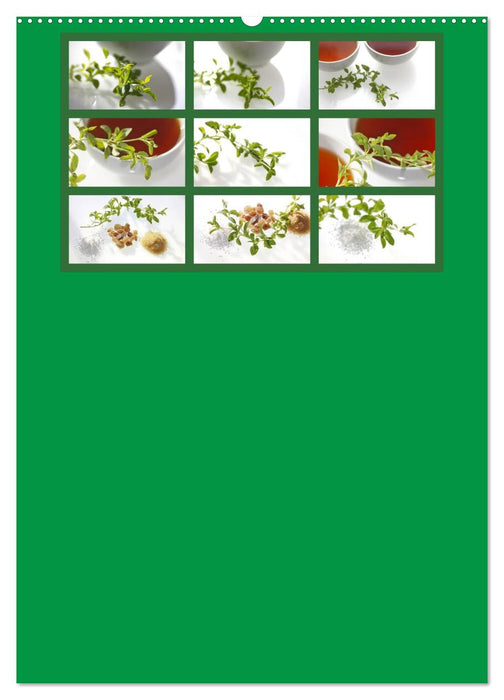 Food (CALVENDO Wandkalender 2025)