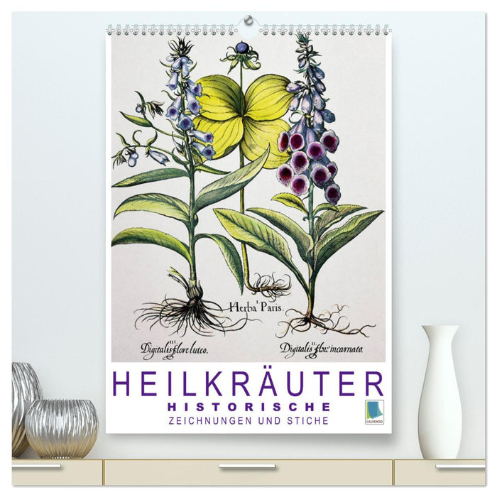 Heilkräuter: Historische Zeichnungen und Stiche (CALVENDO Premium Wandkalender 2025)
