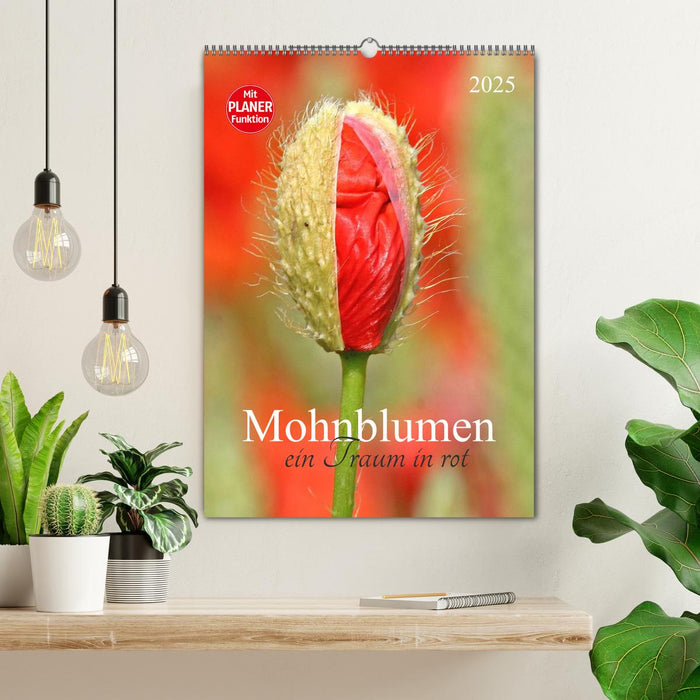 Mohnblumen-ein Traum in rot (CALVENDO Wandkalender 2025)