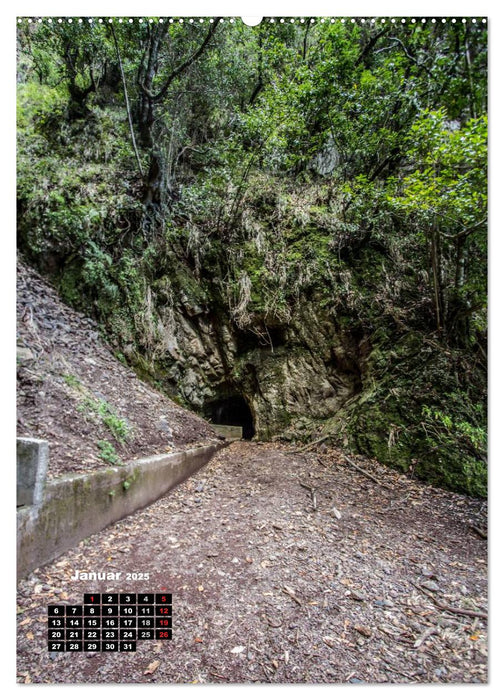 Levadas - Wasserwege auf Madeira (CALVENDO Premium Wandkalender 2025)