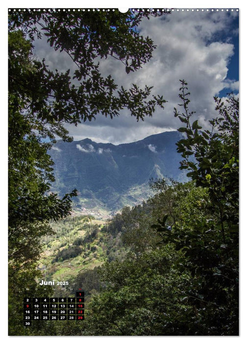 Levadas - Wasserwege auf Madeira (CALVENDO Premium Wandkalender 2025)