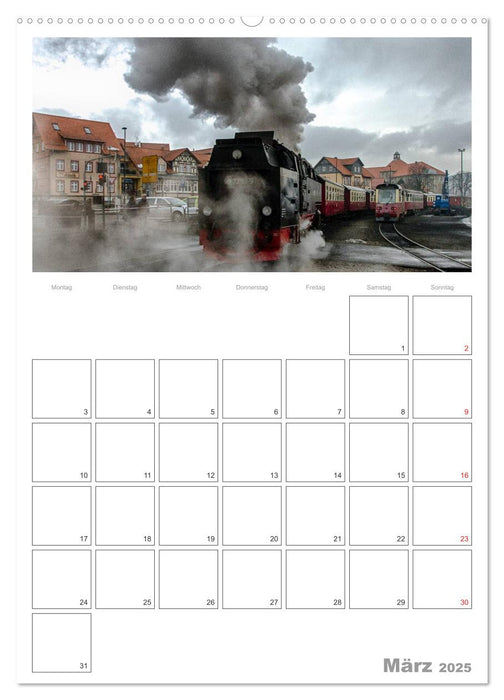 Mit Dampf durch den Harz (CALVENDO Premium Wandkalender 2025)