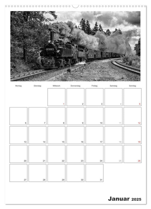 Unter Dampf. Eisenbahnromantik im Harz (CALVENDO Premium Wandkalender 2025)