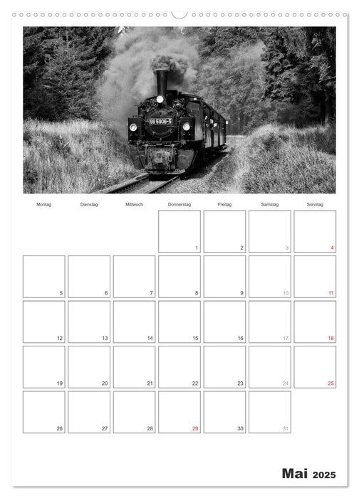 Unter Dampf. Eisenbahnromantik im Harz (CALVENDO Premium Wandkalender 2025)