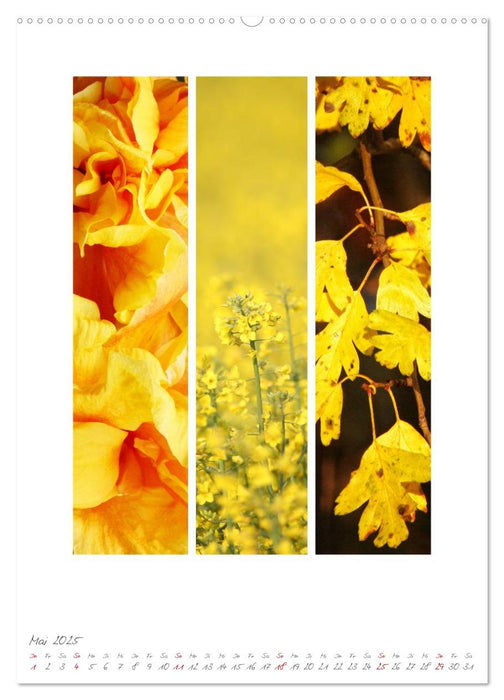 Natur Farben Dreiklang (CALVENDO Premium Wandkalender 2025)