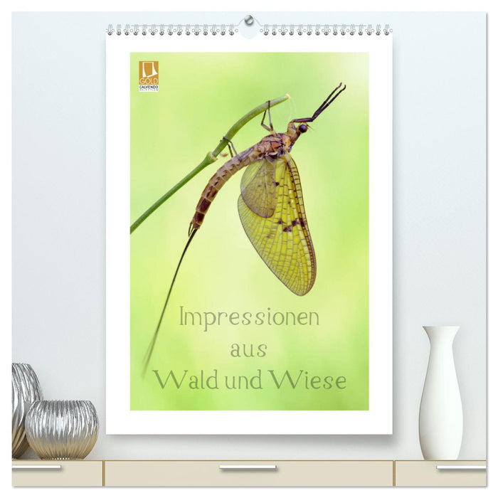 Impressionen aus Wald und Wiese (CALVENDO Premium Wandkalender 2025)