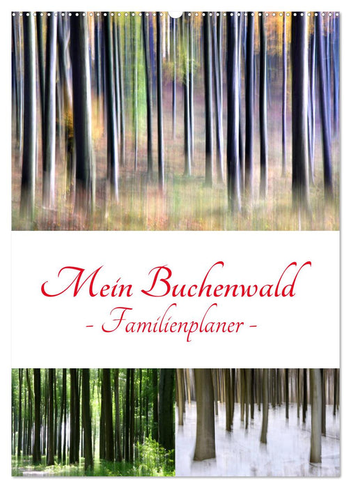 Mein Buchenwald - Familienplaner (CALVENDO Wandkalender 2025)