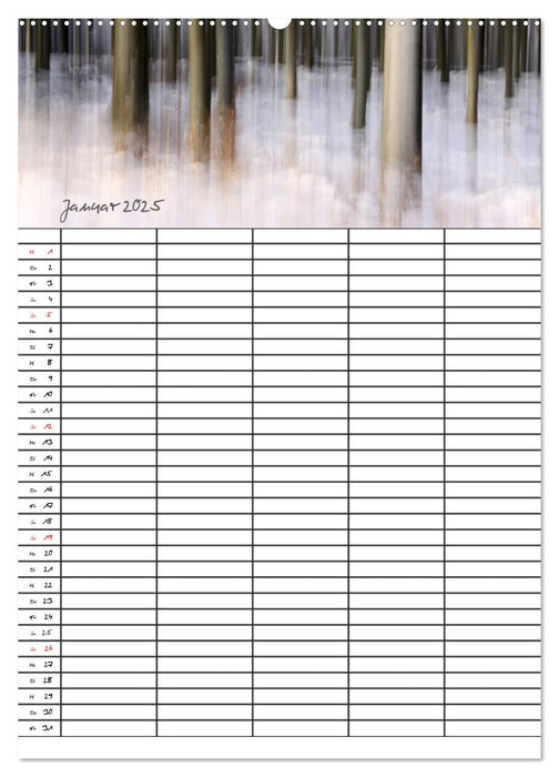 Mein Buchenwald - Familienplaner (CALVENDO Wandkalender 2025)