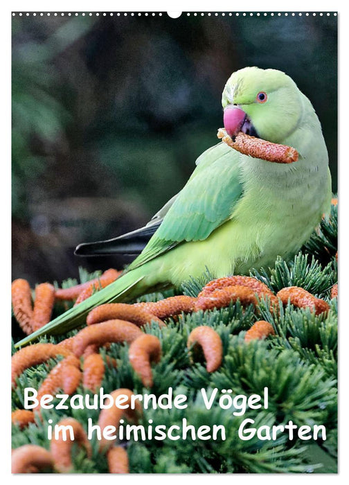 Bezaubernde Vögel im heimischen Garten (CALVENDO Wandkalender 2025)