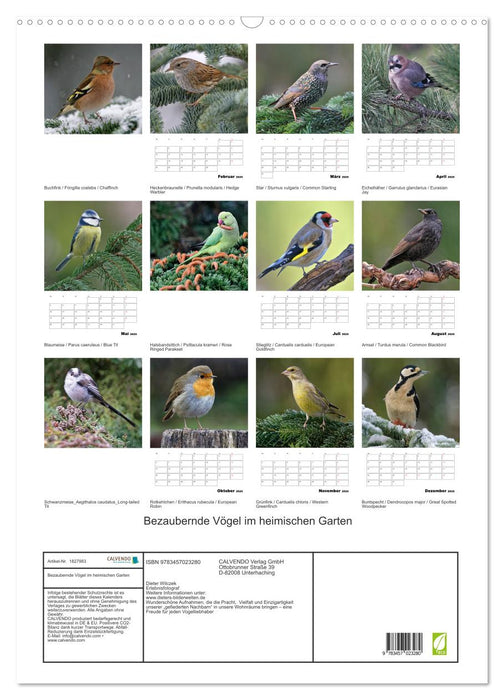 Bezaubernde Vögel im heimischen Garten (CALVENDO Wandkalender 2025)