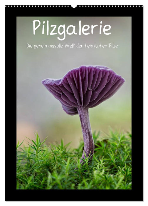Pilzgalerie - Die geheimnisvolle Welt der heimischen Pilze (CALVENDO Wandkalender 2025)