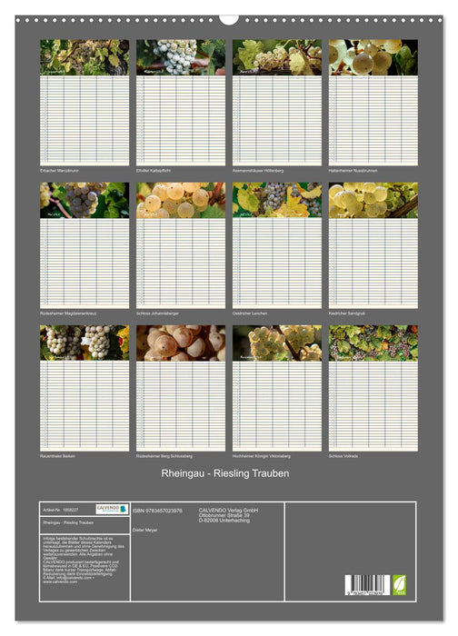 Rheingau - Riesling Trauben (CALVENDO Wandkalender 2025)