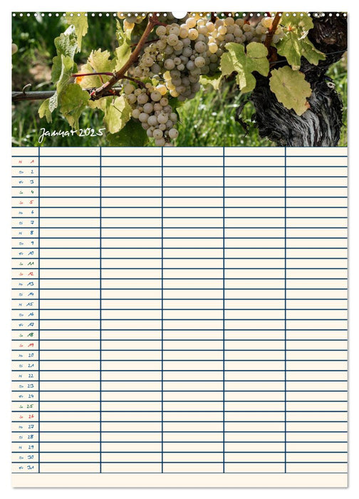 Rheingau - Riesling Trauben (CALVENDO Wandkalender 2025)