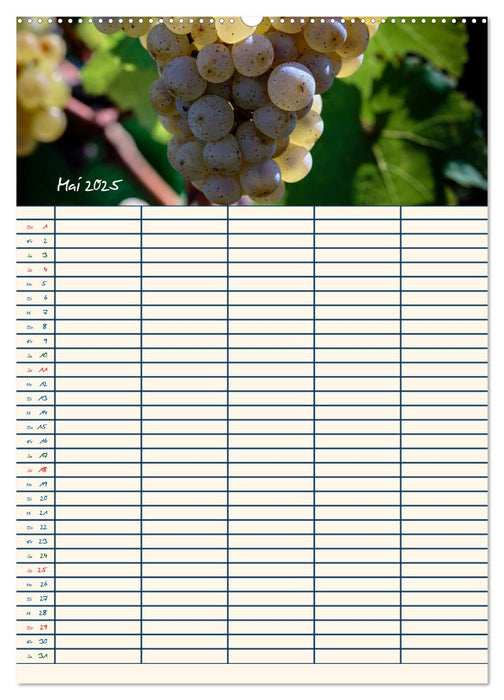 Rheingau - Riesling Trauben (CALVENDO Wandkalender 2025)