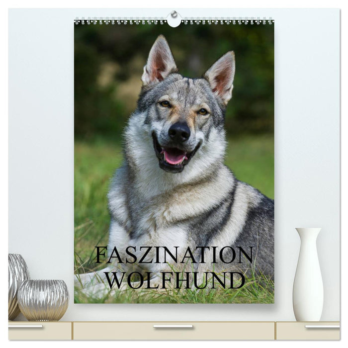 Faszination Wolfhund (CALVENDO Premium Wandkalender 2025)