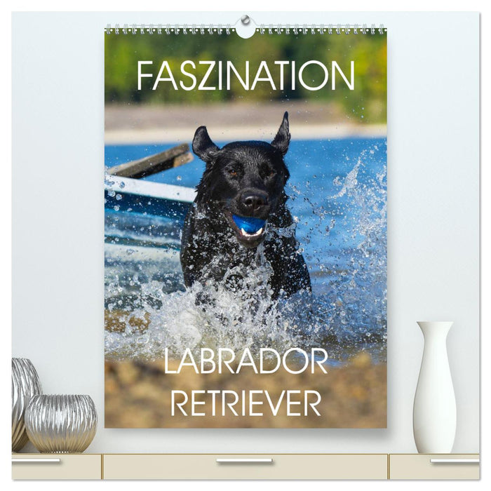 Faszination Labrador Retriever (CALVENDO Premium Wandkalender 2025)
