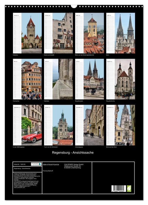 Regensburg - Ansichtssache (CALVENDO Wandkalender 2025)