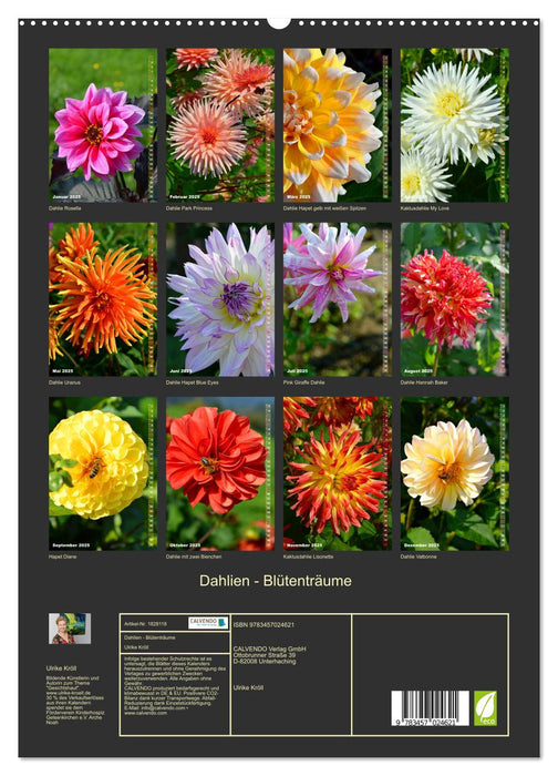 Dahlien - Blütenträume (CALVENDO Premium Wandkalender 2025)