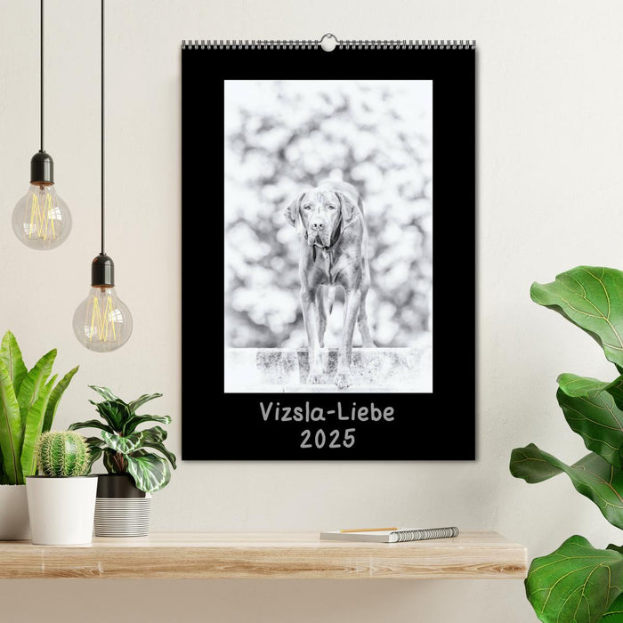 Vizsla-Liebe (CALVENDO Wandkalender 2025)