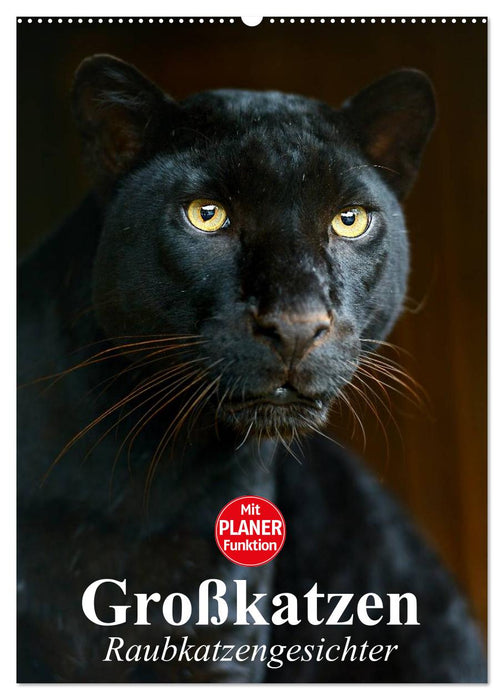 Großkatzen. Raubkatzengesichter (CALVENDO Wandkalender 2025)