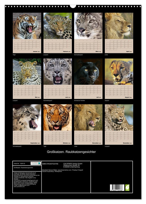Großkatzen. Raubkatzengesichter (CALVENDO Wandkalender 2025)